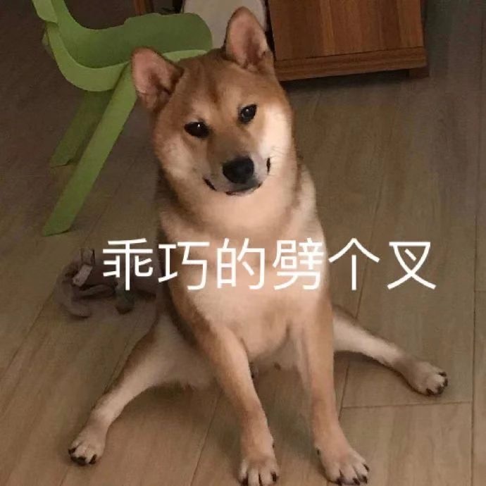 乖巧的劈个叉