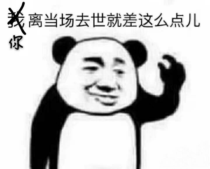 我离当场去世就差这么点儿你(熊猫头)