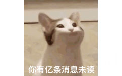 你有亿条消息未读 - POPO猫 GIF 动图表情包