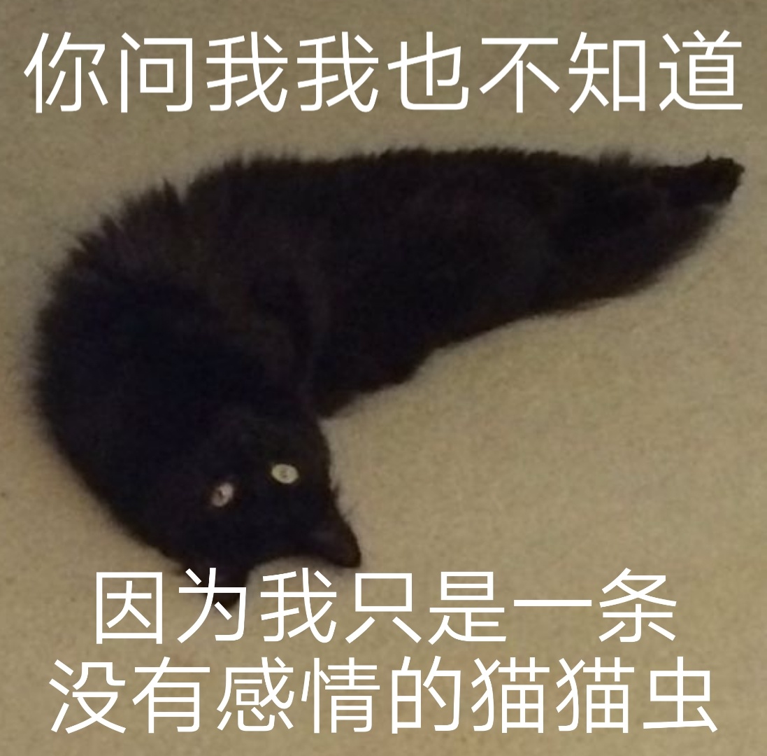 你问我我也不知道因为我只是一条没有感情的猫猫虫 - 液体猫咪表情包