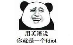 用英语说，你就是一个idiot