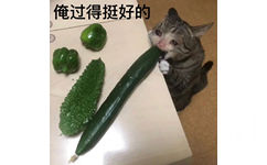 俺过得挺好的(流泪猫猫头表情包)