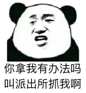 你拿我有办法吗叫派出所我