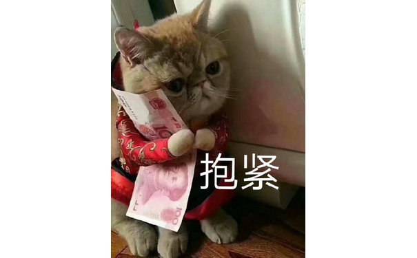 抱紧(猫咪抱着钱)