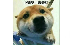  - 谁去关个灯啊[doge]