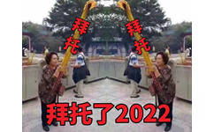 拜拜托了2022