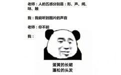 老师:人的五感分别是:形、声、闻、味、触我:我能听到图片的声音老师:你不能我:蛋黄的长裙蓬松的头发