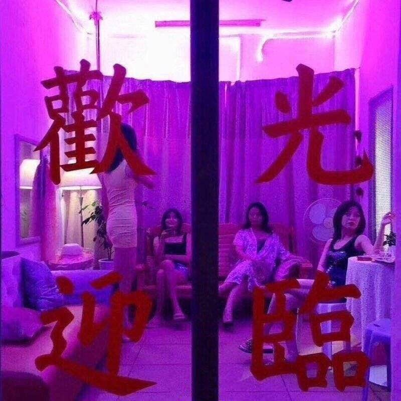 欢迎光临（朋友圈背景图 ）