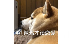 切 辣鸡才谈恋爱 - 单身狗 doge 表情包系列