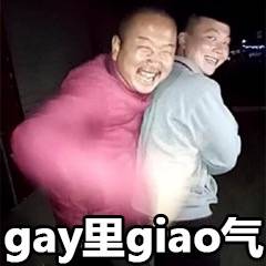 gay里giao