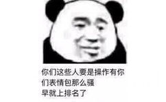 你们这些人要是操作有你们表情包那么骚早就上排名了