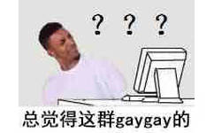 ???总觉得这群gaygay 的(群聊表情包)