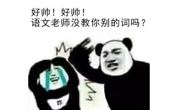 好帅！好帅！语文老师没教你别的词吗？ - 大家一起来搞事情呀（熊猫人打人系列）