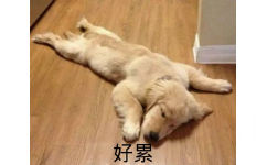 狗子：好累