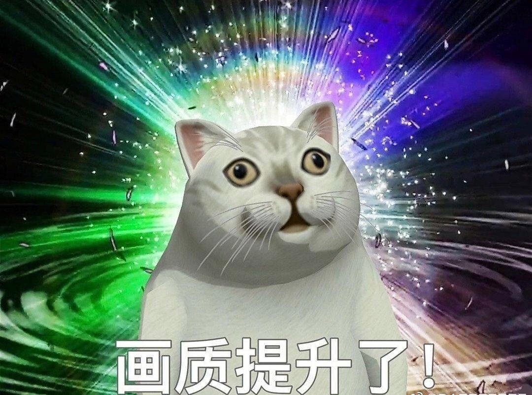 画质提升了（mur猫表情包） - 憨憨猫mur猫魔性猫咪表情包