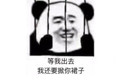 等我出去我还要掀你裙子 - 铁窗里的熊猫头系列