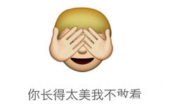 你长得太美我不敢看 - emoji 混合表情