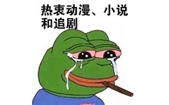 热衷动漫，小说和追剧 - 我这种人大概是没有人要了 - sadfrog