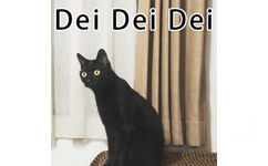 dei dei dei - 小猫惊恐表情