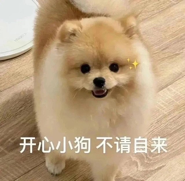 开心小狗不请自来