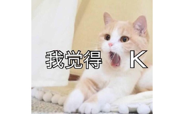 我觉得ok（猫咪）