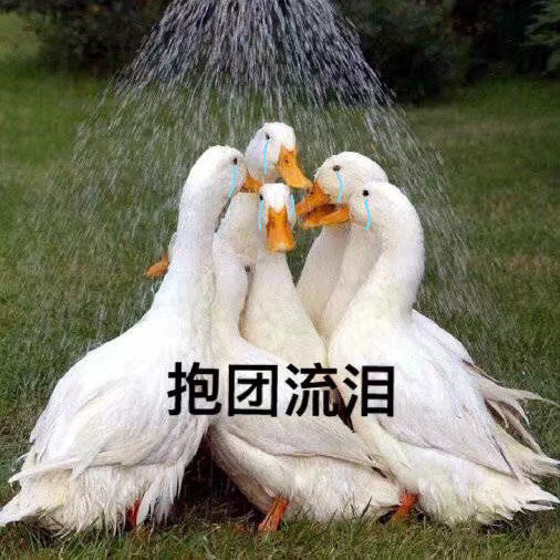 抱团流泪