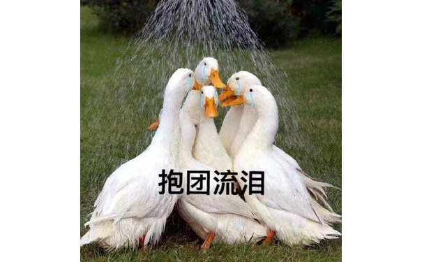 抱团流泪