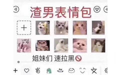 渣男表情包（猫咪表情包）