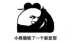 小熊猫梳了一个新发型 - 熊猫头发型梳理全过程 ​