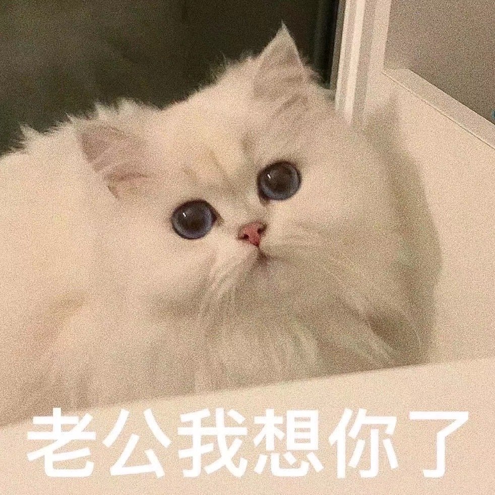 老公我想你了(猫咪表情包)