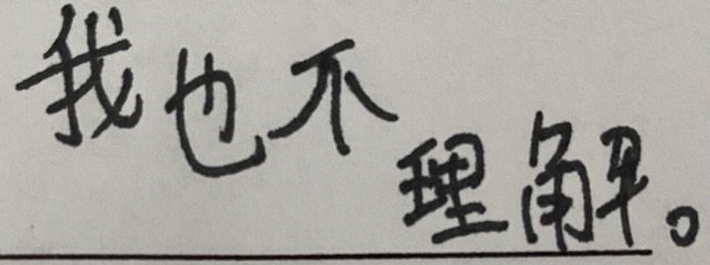 我也不理解(手写字体表情包)