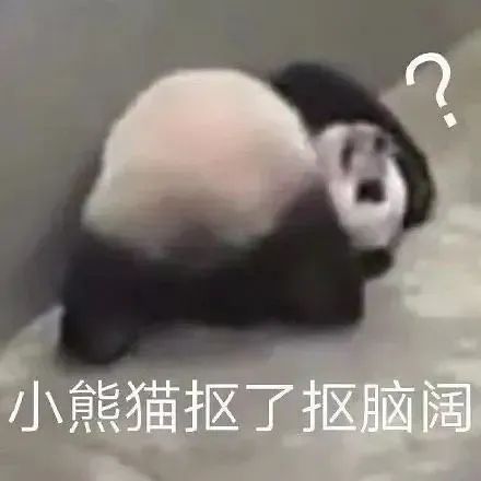 小熊猫抠了抠脑阔