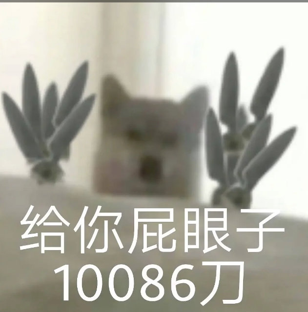 给你屁眼子10086刀