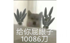 给你屁眼子10086刀