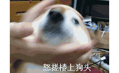 怒搓楼上狗头！（doge）