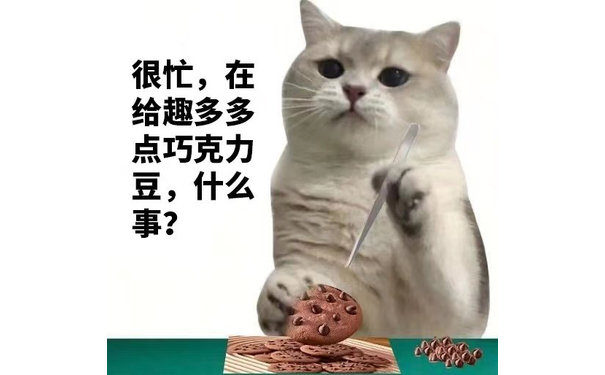 很忙，在给趣多多点巧克力豆，什么事？(猫猫很忙表情包)