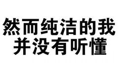 然而纯洁 的我并没有听懂 - 你很有想法，愿你早日醒来（文字装逼表情）