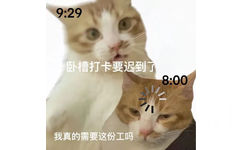 9:29卧槽打卡要迟到了8:00我真的需要这份工吗