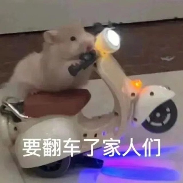 要翻车了家人们(鼠鼠表情包)