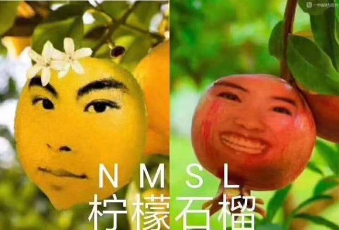 NMSL（柠檬石榴）