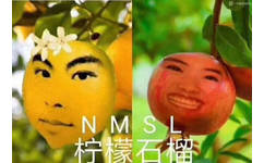 NMSL（柠檬石榴）