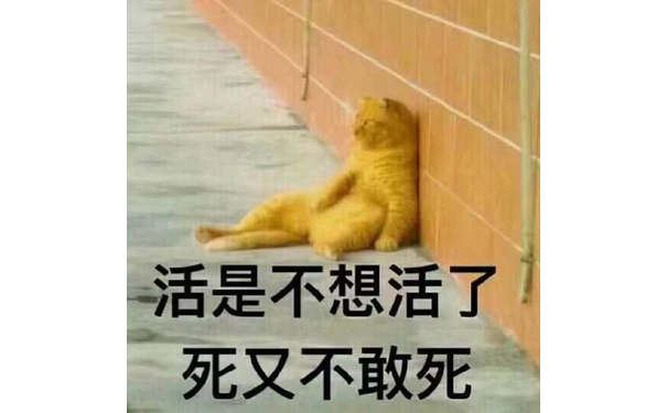 活是不想活了死又不敢死(橘猫表情包)