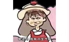 草泥马  我有点生气了