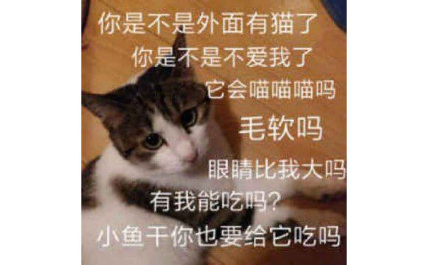 你是不是外面有猫了你是不是不爱我了它会喵喵喵吗毛软吗眼睛比我大吗有我能吃吗?小鱼干你也要给它吃吗