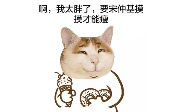 啊，我太胖了，要宋仲基摸摸才能瘦 - 猫头宋仲基表情