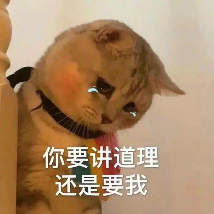 你要讲道理还是要我 - 猫咪哭泣流泪猫猫头表情包 ​