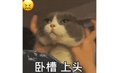 卧槽上头(猫猫表情包)