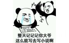 整天记记记你大爷这么能写去写小说啊 - 反怼「熊猫头记仇」表情包