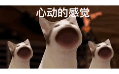 心动的感觉（POPO猫表情包） - POPO猫 GIF 动图表情包