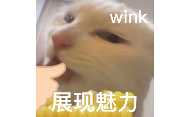 wink展现魅力